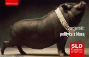 2 lata dla Senyszyn !
